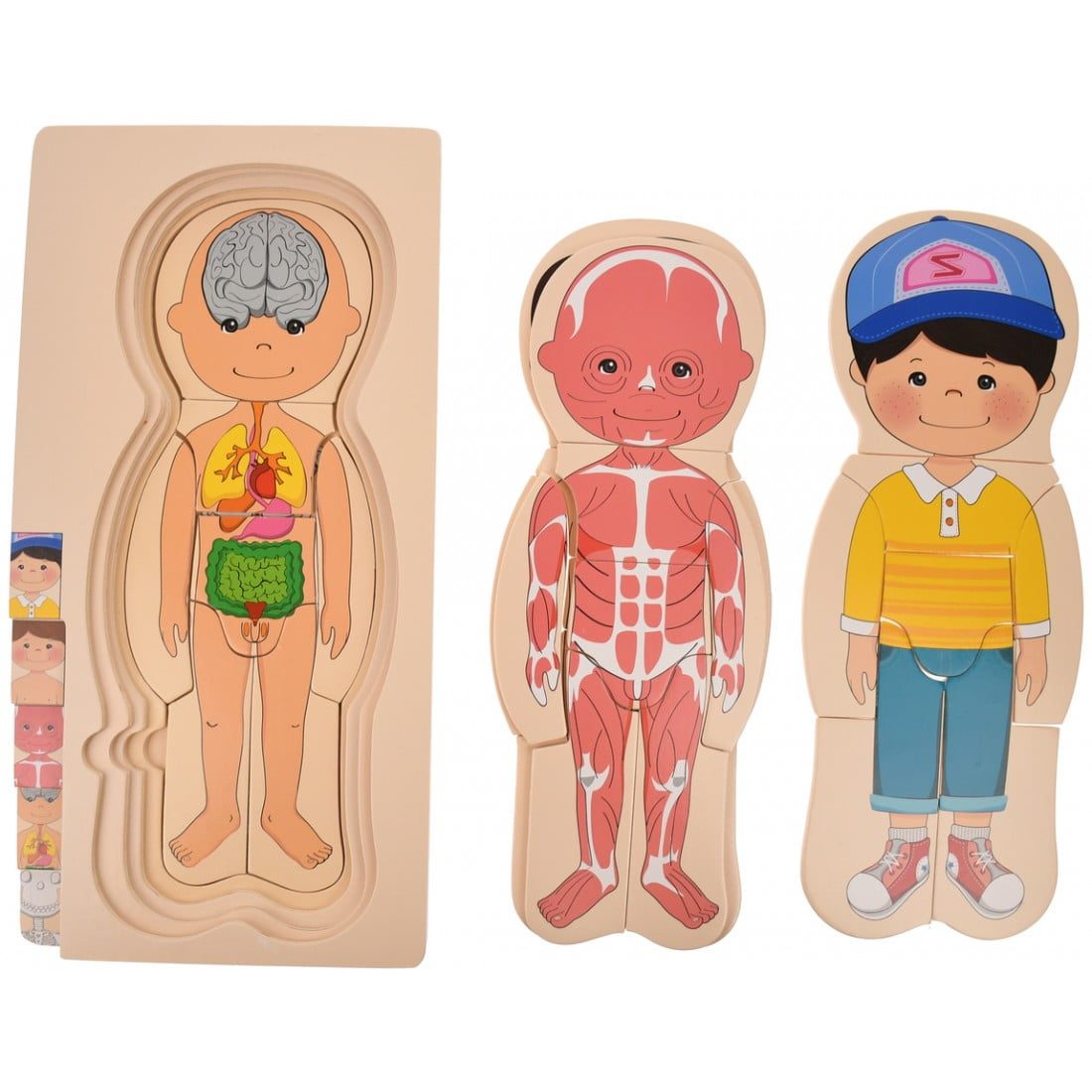 Puzzle Stratificat Corpul Uman - Baiat - imagine 3