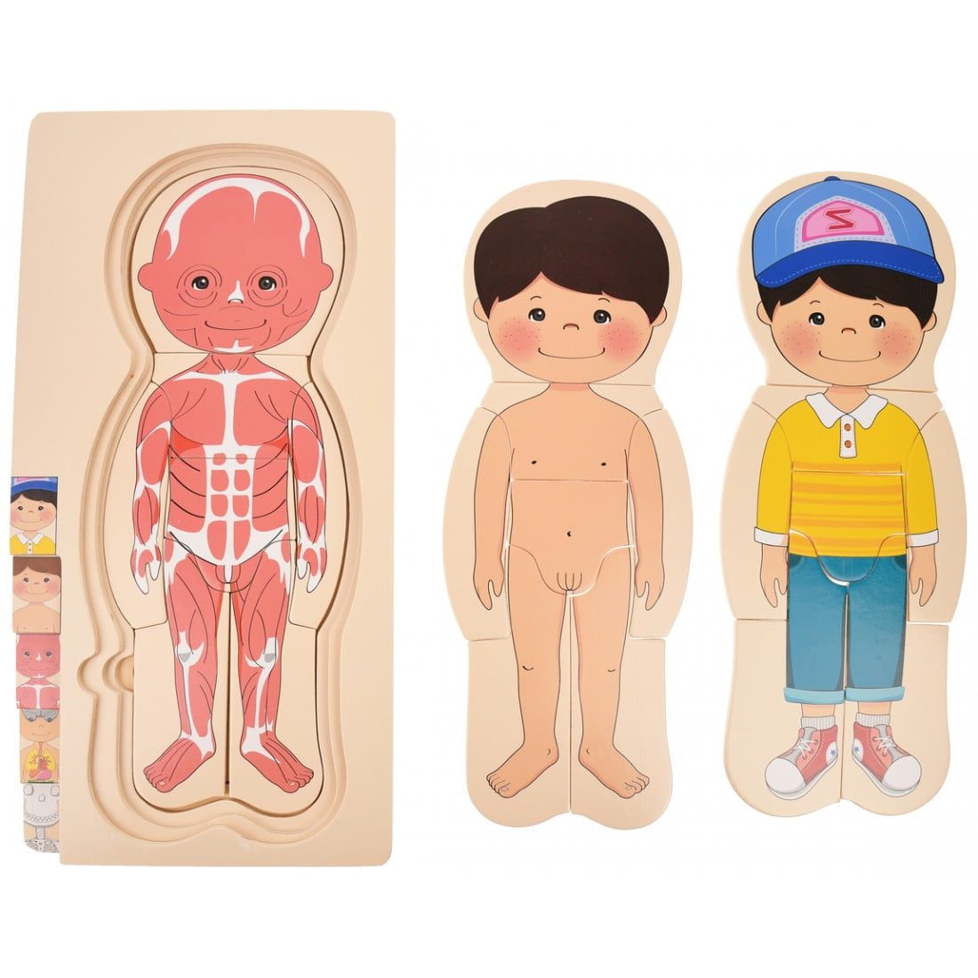 Puzzle Stratificat Corpul Uman - Baiat - imagine 4