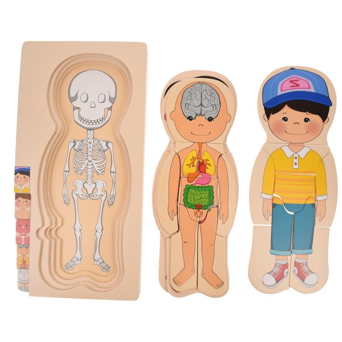 Puzzle Stratificat Corpul Uman - Baiat - imagine 5