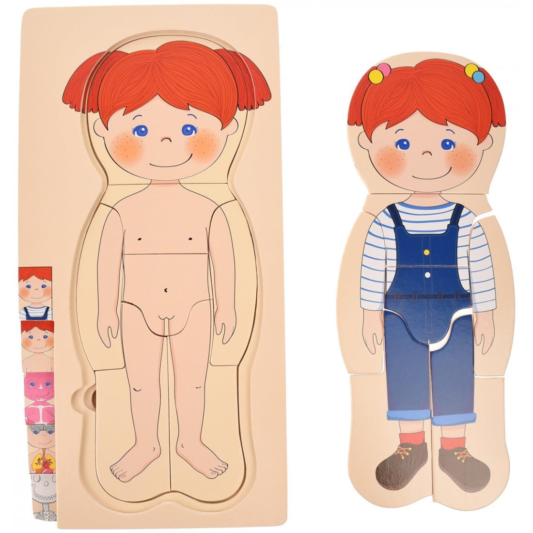 Puzzle Stratificat, Anatomia Corpului Uman, Fetita - imagine 2