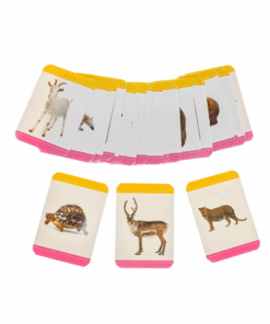 Alternative view of Carduri cognitive, set 48 de cartonase educative, Animale, 3 ani