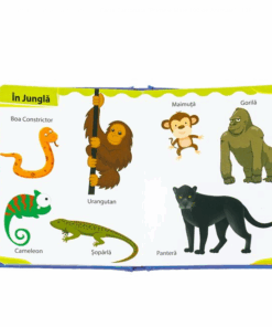 Alternative view of Carte educativa, Primele mele 100 de animale