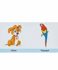 Alternative view of Carte educativa, mini, Animale, 10X10 cm