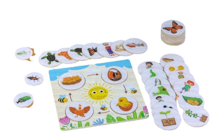 Ciclul de viata al plantelor si animalelor, joc de logica, 3 ani+ - imagine 6
