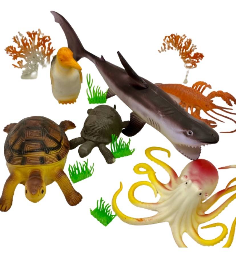 C9329373 D37F 4A99 8E0F 716FFD637A83.jpeg