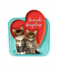 Carte Ilustrata Animale Dragalase 01 1.png