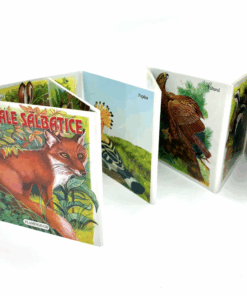 Carte Pliabila Animale salbatice02.png