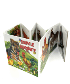 Carte Pliata Animale indragite 03 1.png