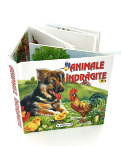 Carte Pliata Animale indragite 04 1.png