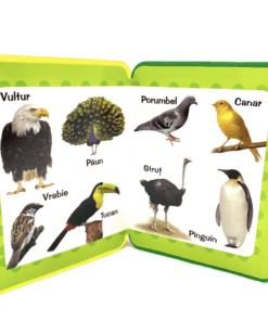 Carte buretata Totul despre animale 01.png