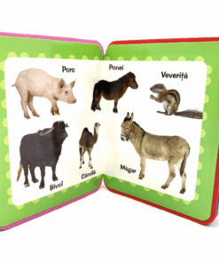Carte buretata Totul despre animale 04.png