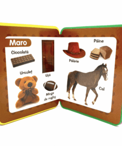 Carte buretata Totul despre culori01.png