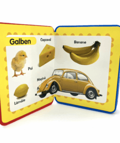 Carte buretata Totul despre culori04.png