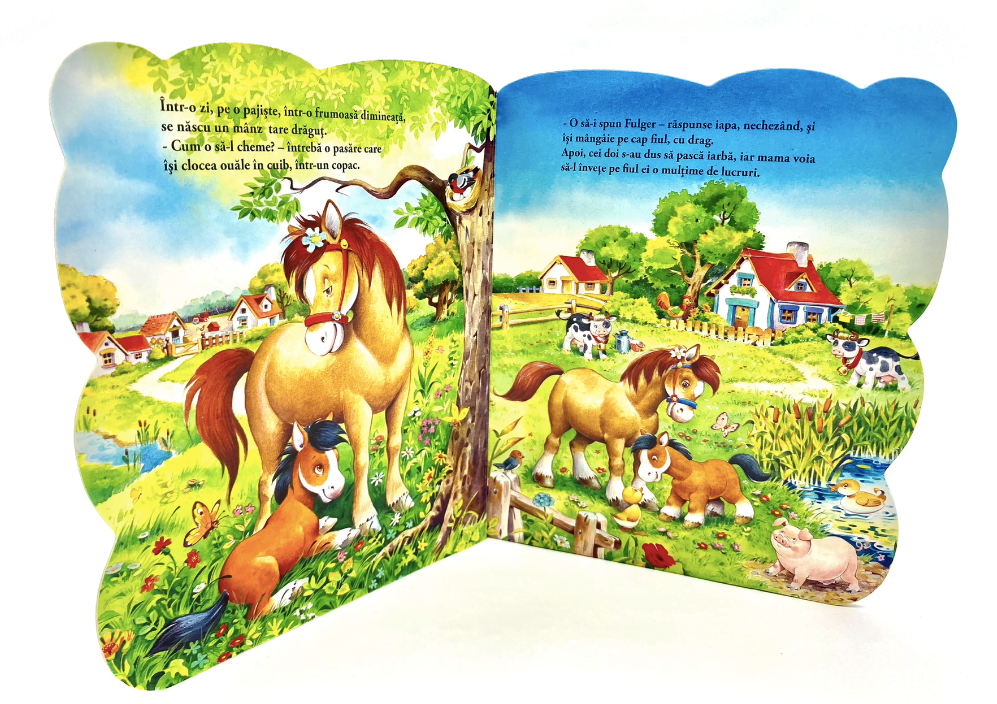 Carte de povesti Calutul Fulger05.png