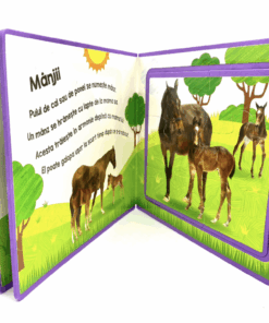 Carte puzzle buretata Cai si Ponei02.png