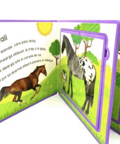 Carte puzzle buretata Cai si Ponei03.png