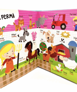 Dictionar Ilustrat Romana Engleza Invata Cuvintele04.png