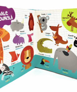 Dictionar Ilustrat Romana Engleza Invata Cuvintele07.png