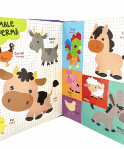 Dictionar Ilustrat Romana Engleza Invata despre Natura03.png