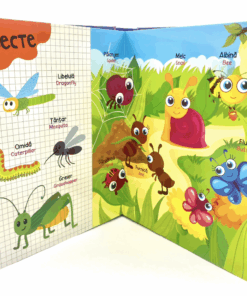 Dictionar Ilustrat Romana Engleza Invata despre Natura06.png