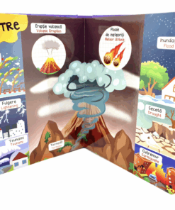 Dictionar Ilustrat Romana Engleza Invata despre Natura08.png