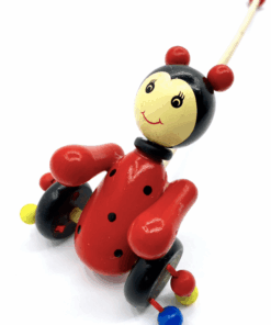 Jucarie de impins din lemn cu figurine buburuza.png