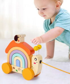 Jucarie de tras si curcubeu de echilibru Melc 01.jpeg