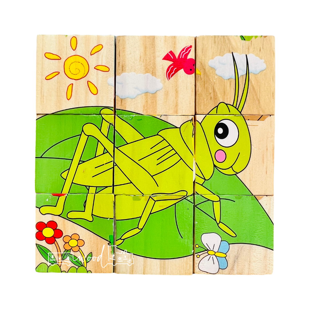 Set 6 puzzle cubic din lemn Animale salbatice 9 cuburi 06.png