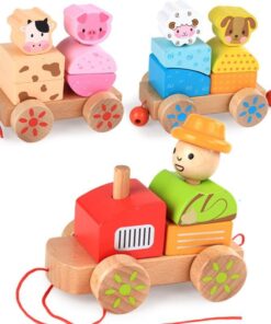 Trenulet cu sortator animale de la ferma 04.jpg