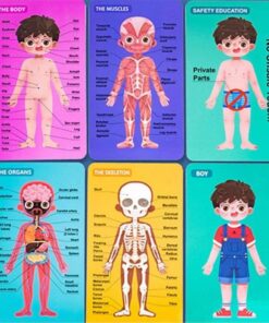 puzzle corpul uman baietel 02.jpg