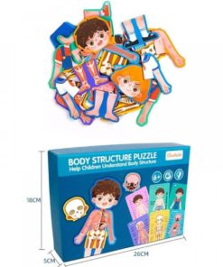 puzzle corpul uman baietel 03.jpg