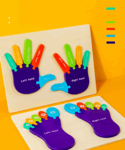 Puzzle de tip Montessori Piciorul drept si stang 02.png