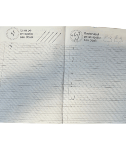 Caiet de scriere Cifrele si Literele Prescolari 002.png