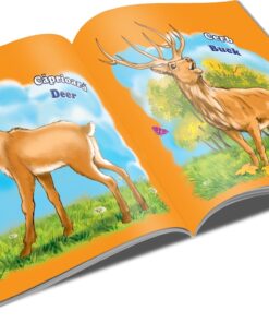 Carte copii Animale salbatice 2 ani 02.jpeg