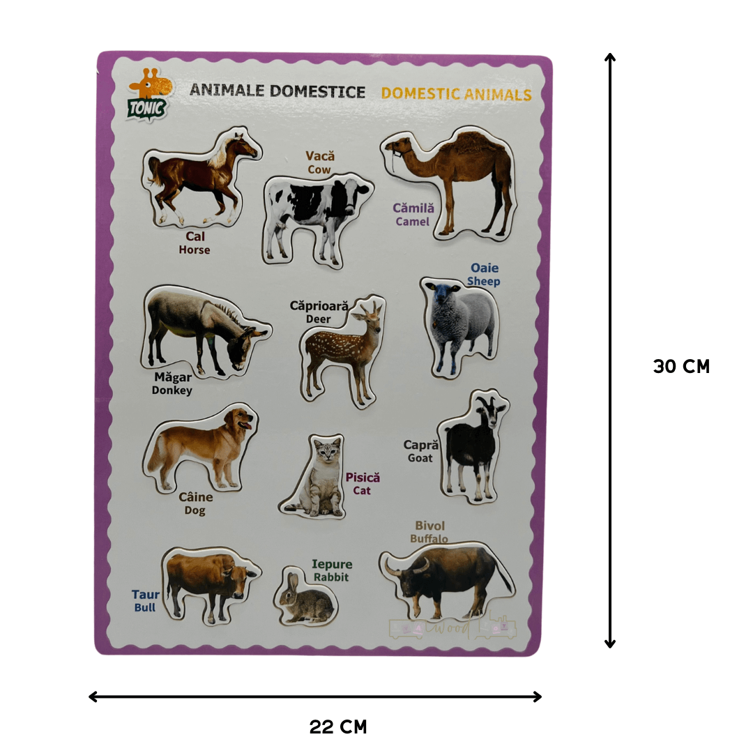 Puzzle incastru din lemn in Limba Romana si Engleza Animale domestice 01 1.png