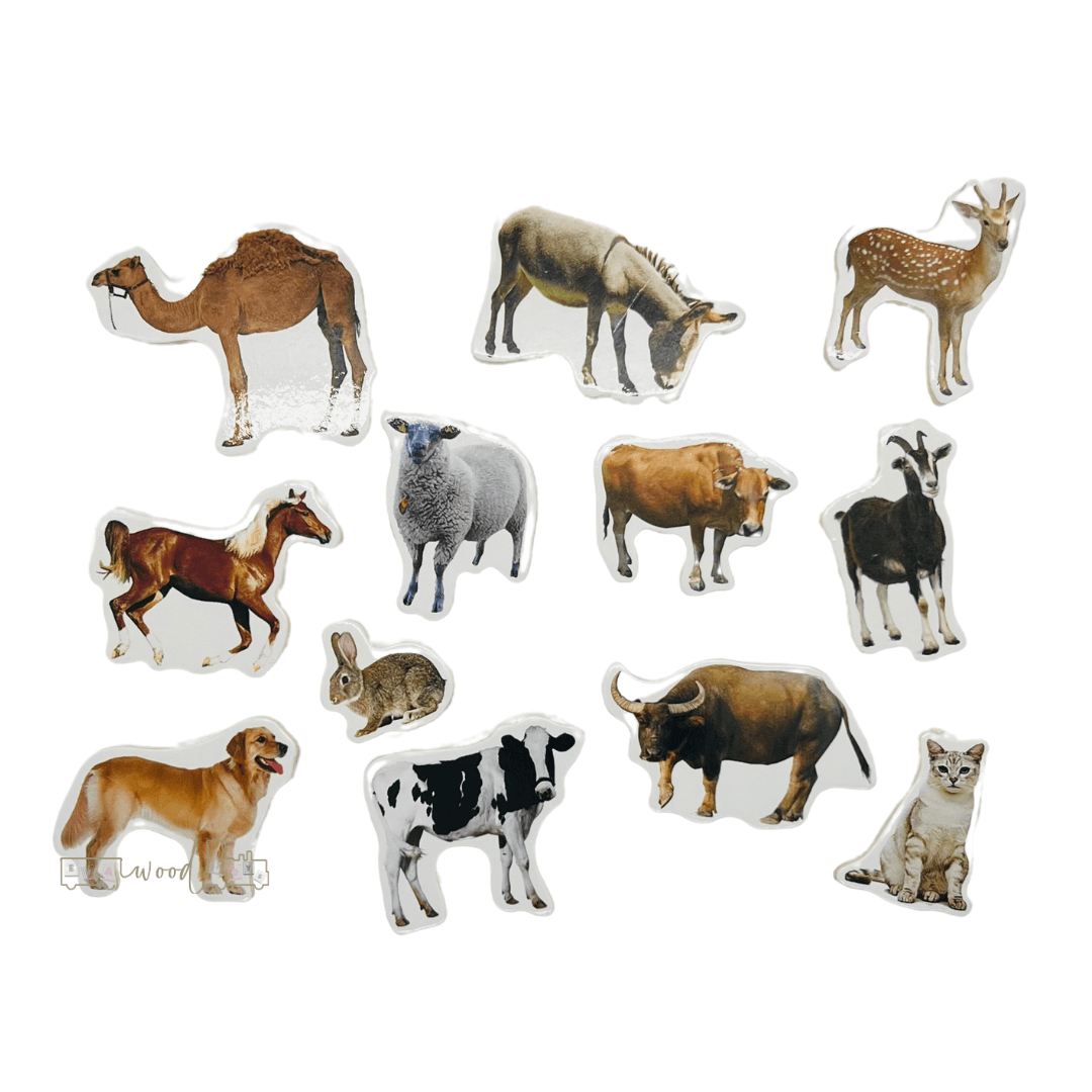 Puzzle incastru din lemn in Limba Romana si Engleza Animale domestice 02.png