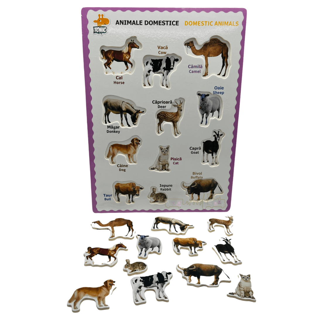 Puzzle incastru din lemn in Limba Romana si Engleza Animale domestice 03 1.png