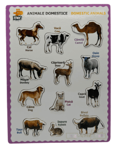 Puzzle incastru din lemn in Limba Romana si Engleza Animale domestice 05.png