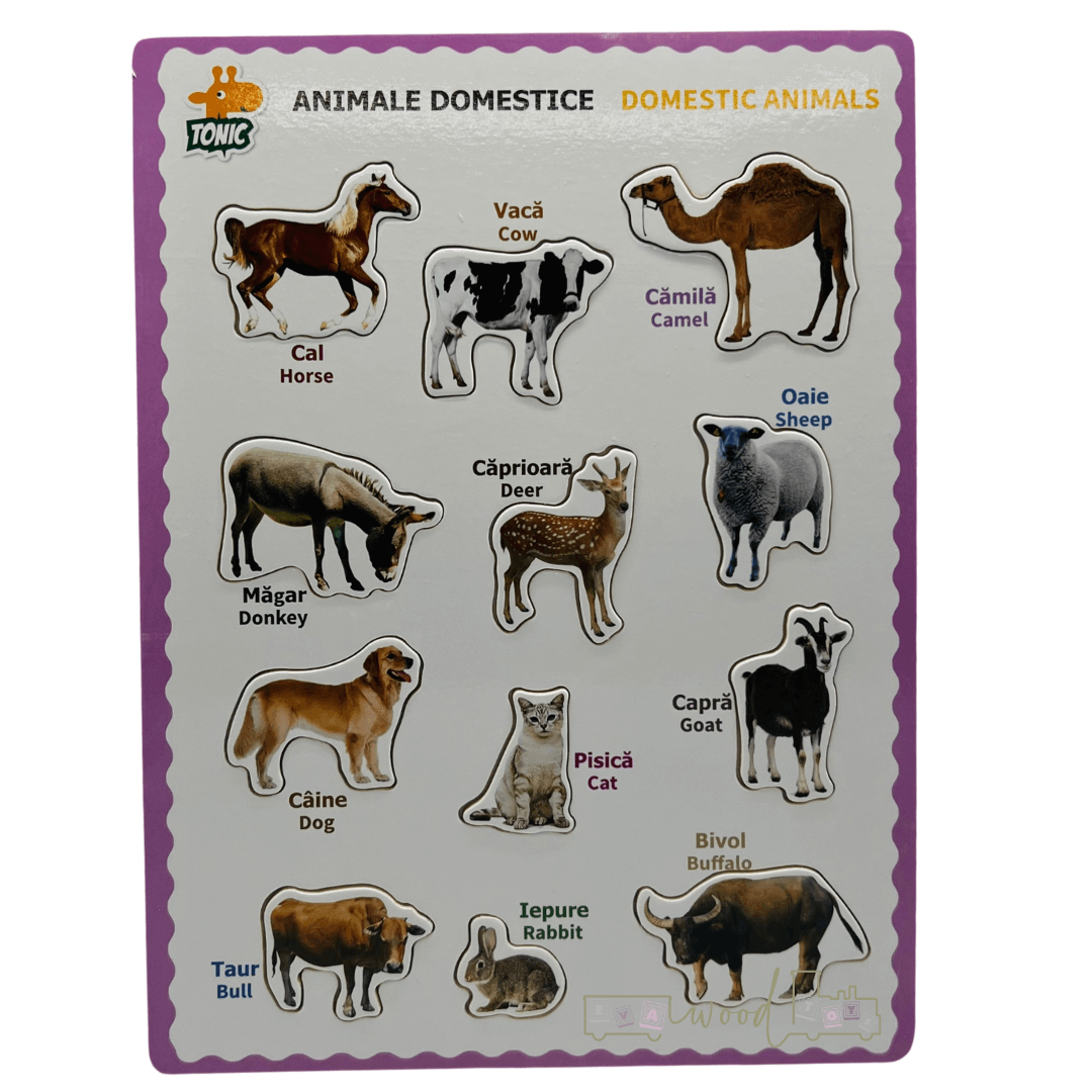 Puzzle incastru din lemn in Limba Romana si Engleza Animale domestice 05.png