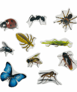 Puzzle incastru din lemn in Limba Romana si Engleza Insecte 01 1.png