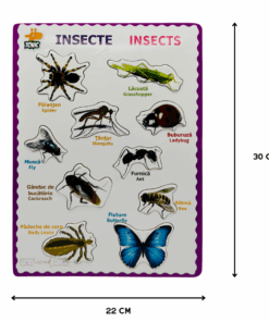 Puzzle incastru din lemn in Limba Romana si Engleza Insecte 02 1.png