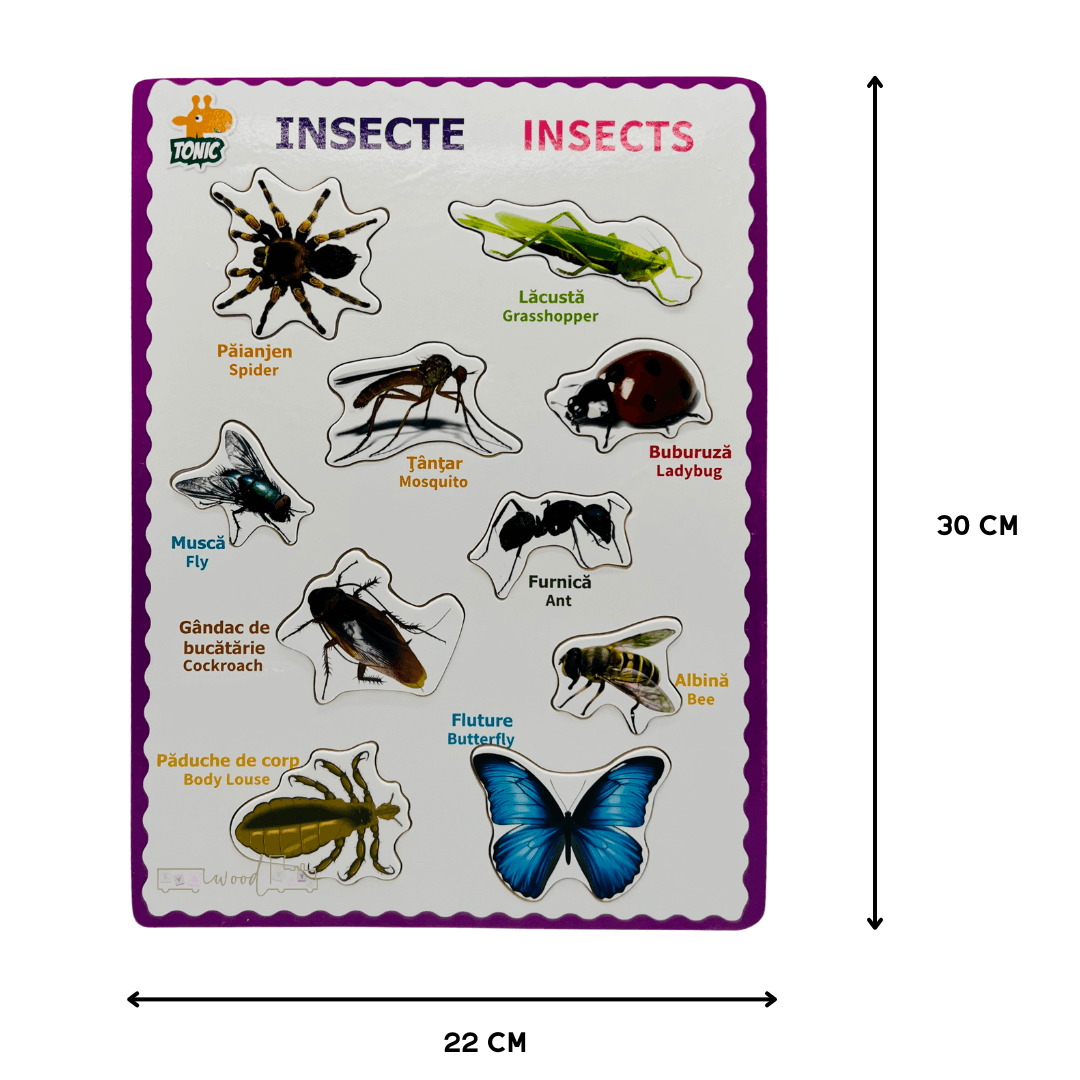 Puzzle incastru din lemn in Limba Romana si Engleza Insecte 02 1.png