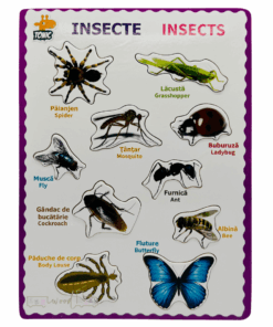 Puzzle incastru din lemn in Limba Romana si Engleza Insecte 03 1.png