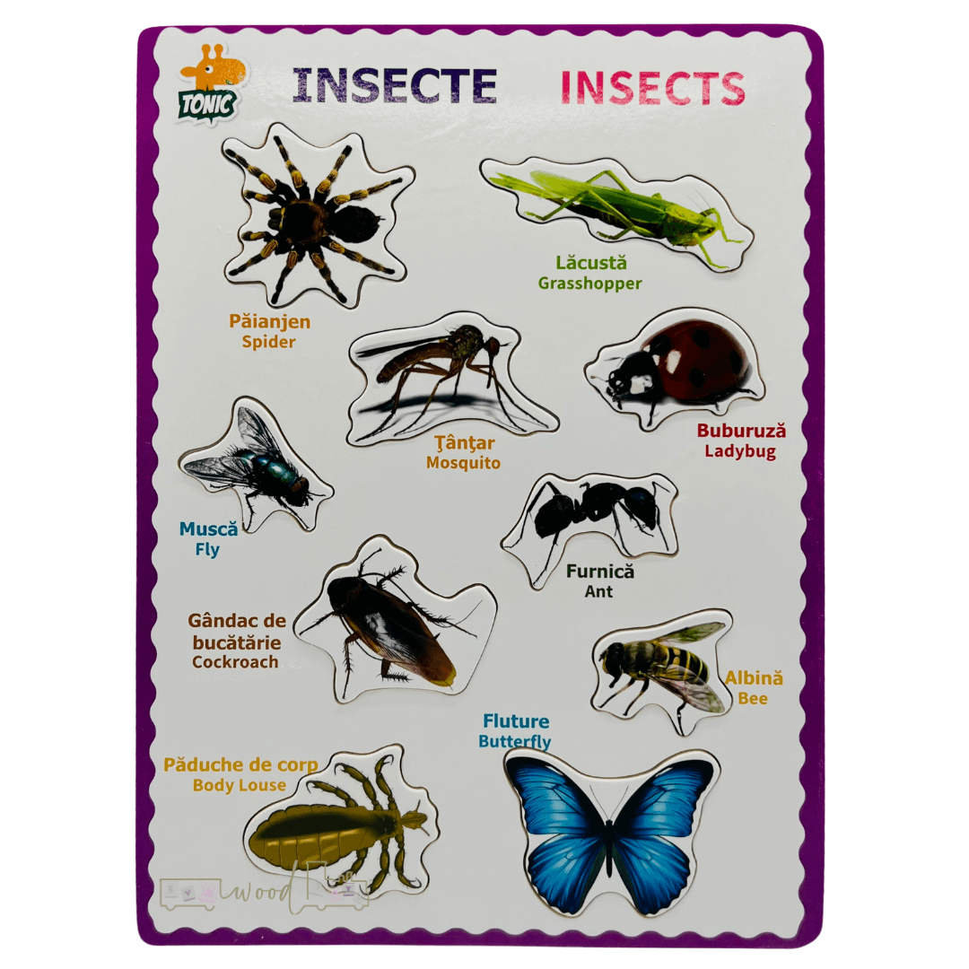 Puzzle incastru din lemn in Limba Romana si Engleza Insecte 03 1.png