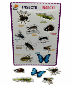Puzzle incastru din lemn in Limba Romana si Engleza Insecte 04 1.png