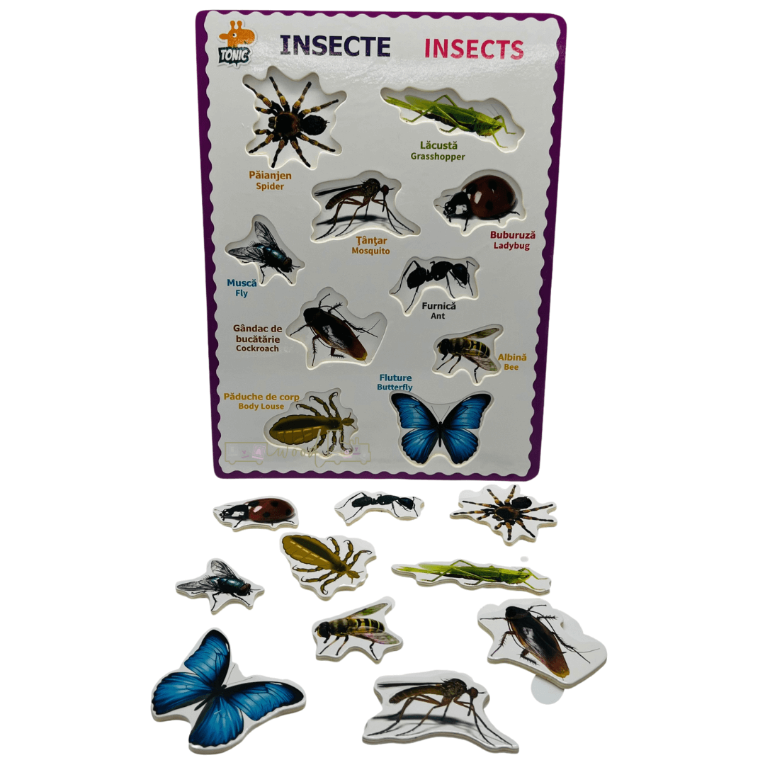 Puzzle incastru din lemn in Limba Romana si Engleza Insecte 05.png