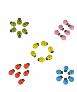 Set 30 de buburuze autocolante 3 ani 01.png