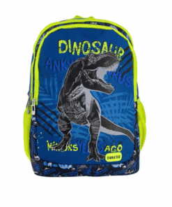 Ghiozdan baieti cu 2 compartimente Fanatee 01.png