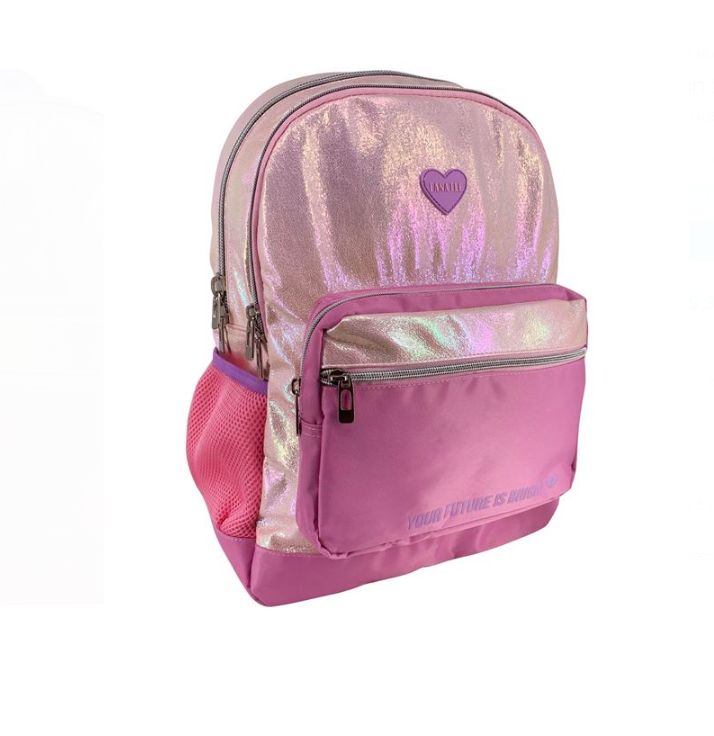 Ghiozdan scolar fete cu 2 compartimente Roz 03.png