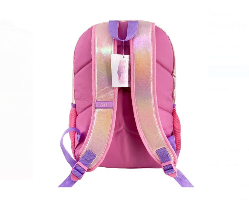 Ghiozdan scolar fete cu 2 compartimente Roz 07.png